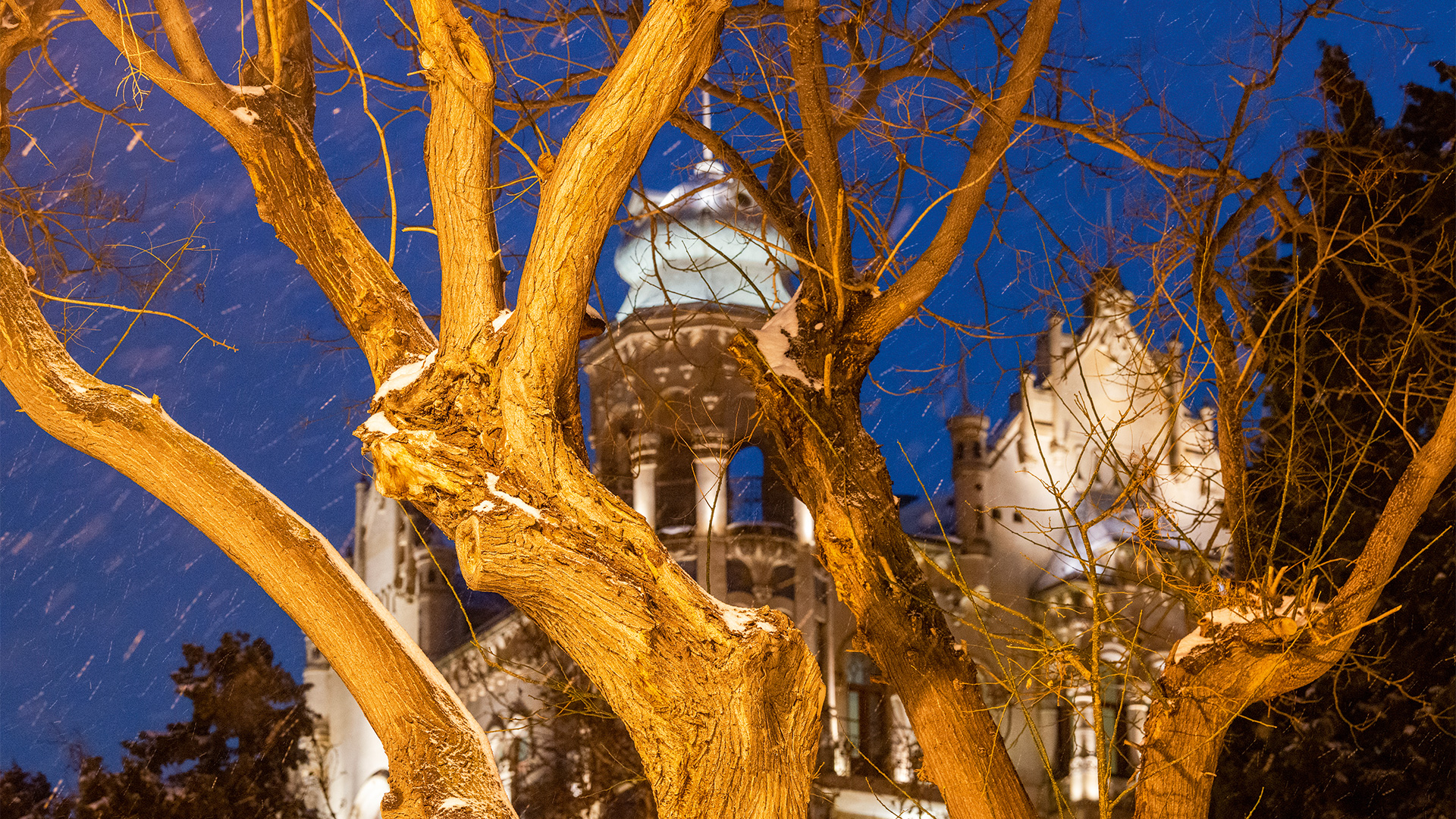 Зимой в Баку: белый-белый день