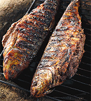 photo1