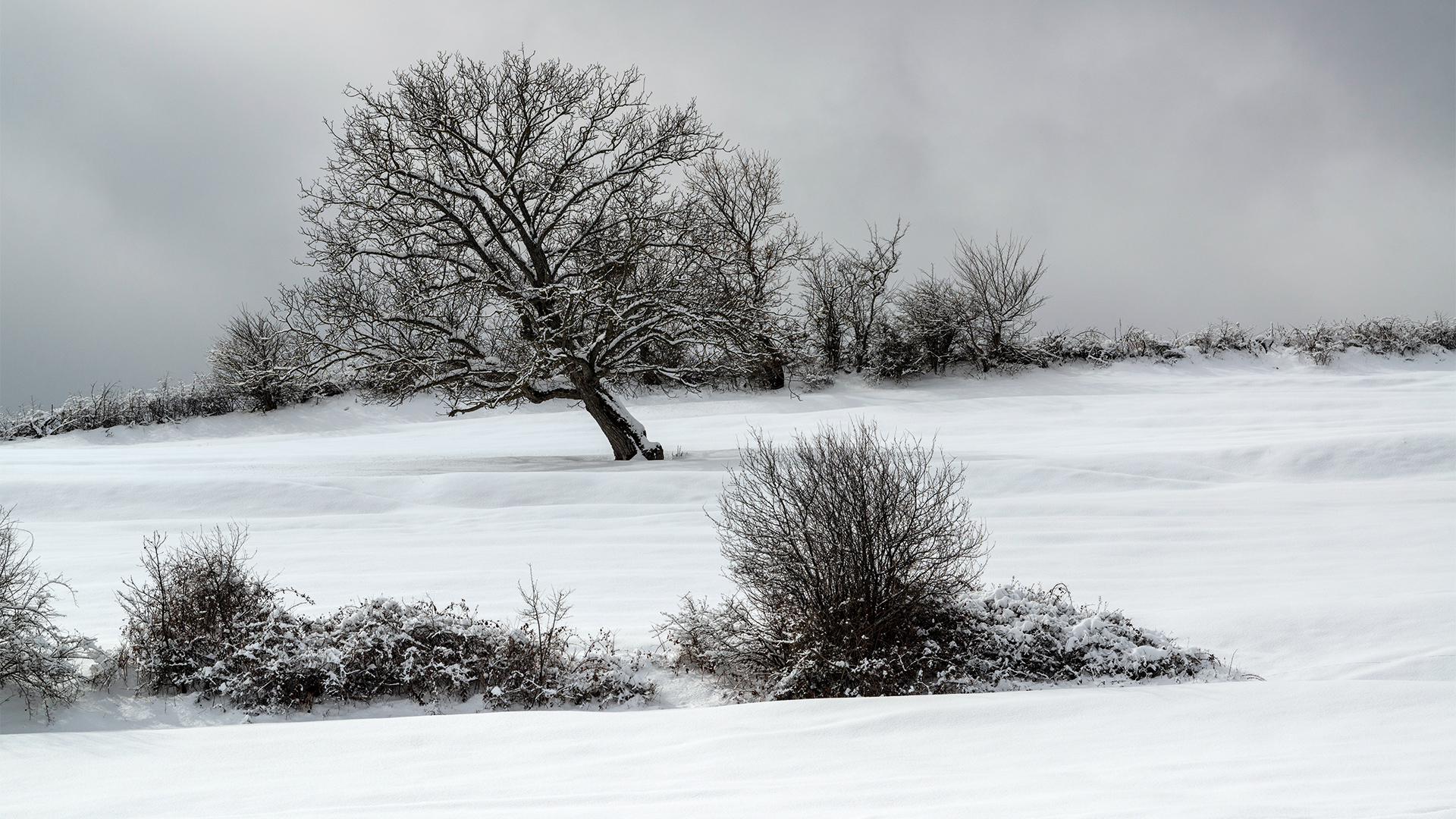 Зима в Шабране: оттенки белого